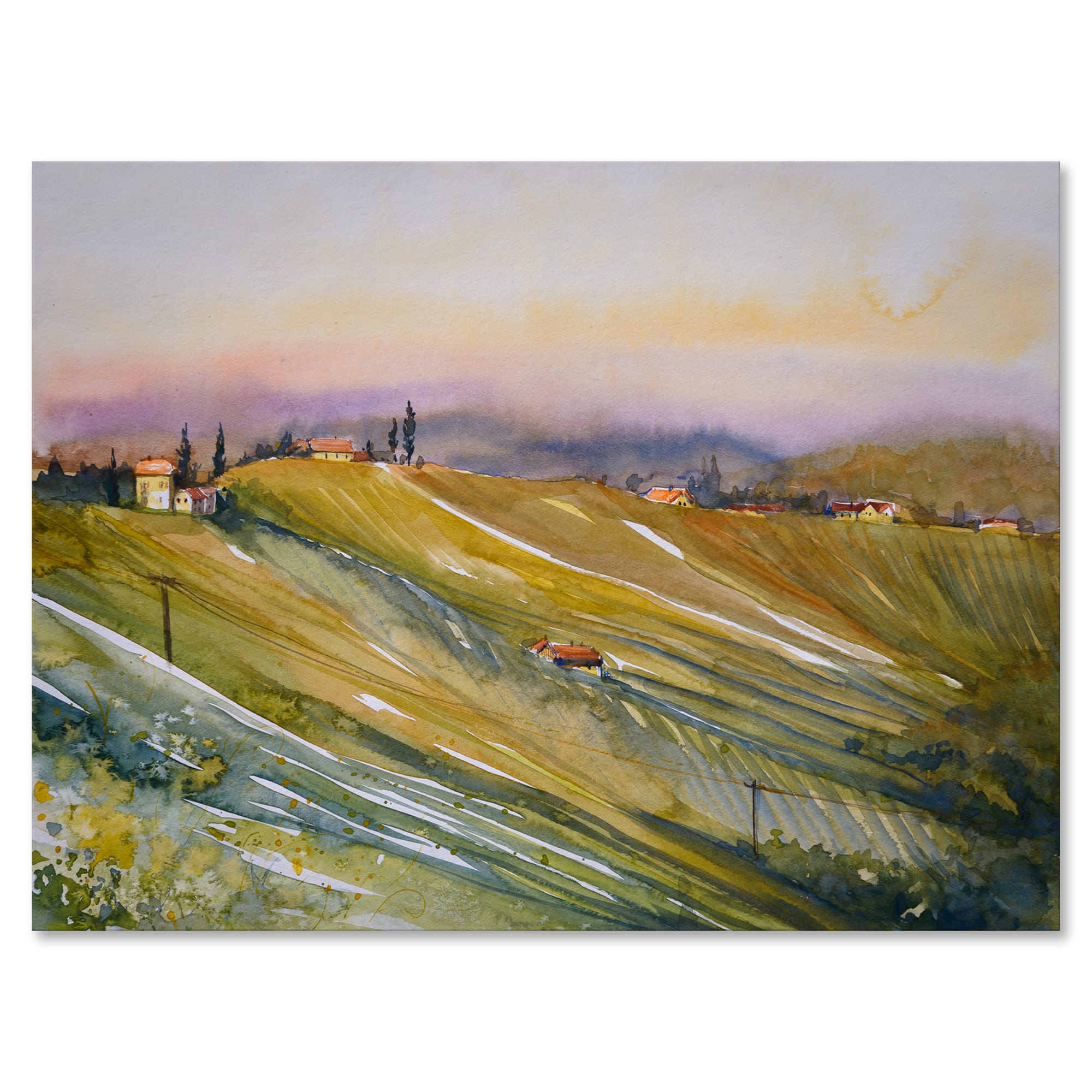 Designart - Vineyard At Dawn In Tuscany Italy